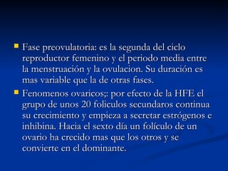 Fase preovulatoria: es la segunda del ciclo reproductor femenino y el periodo media entre la menstruación y la ovulacion. Su duración es mas variable que la de otras fases. Fenomenos ovaricos;: por efecto de la HFE el grupo de unos 20 foliculos secundaros continua su crecimiento y empieza a secretar estrógenos e inhibina. Hacia el sexto día un folículo de un ovario ha crecido mas que los otros y se convierte en el dominante. 