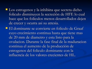 Los estrogenos y la inhibina que secreta dicho foliculo disminuyen la secreción de HFE lo cual hace que los foliculos menos desarrollados dejen de crecer y ocurra asi su atresia. El dominante se convierte en foliculo de Graaf cuyo crecimiento continua hasta que tiene mas de 20 mm de diametro y esta listo para la ovulacion. Durante la fase final de la maduracion continua el aumento de la producción de estrogenos del foliculo dominante con la influencia de los valores crecientes de HL. 