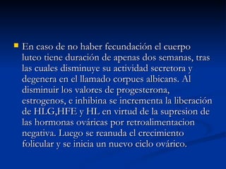 En caso de no haber fecundación el cuerpo luteo tiene duración de apenas dos semanas, tras las cuales disminuye su actividad secretora y degenera en el llamado corpues albicans. Al disminuir los valores de progesterona, estrogenos, e inhibina se incrementa la liberación de HLG,HFE y HL en virtud de la supresion de las hormonas ováricas por retroalimentacion negativa. Luego se reanuda el crecimiento folicular y se inicia un nuevo ciclo ovárico. 