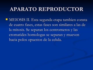APARATO REPRODUCTOR MEIOSIS II. Esta segunda etapa tambien consta de cuatro fases, estas fases son similares a las de la mitosis. Se separan los centromeros y las cromatides homologas se separan y mueven hacia polos opuestos de la celula. 