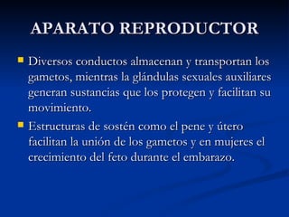 APARATO REPRODUCTOR Diversos conductos almacenan y transportan los gametos, mientras la glándulas sexuales auxiliares generan sustancias que los protegen y facilitan su movimiento. Estructuras de sostén como el pene y útero facilitan la unión de los gametos y en mujeres el crecimiento del feto durante el embarazo. 