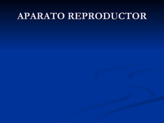 APARATO REPRODUCTOR 
