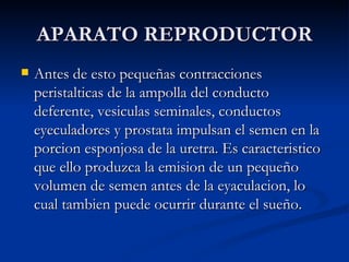 APARATO REPRODUCTOR Antes de esto pequeñas contracciones peristalticas de la ampolla del conducto deferente, vesiculas seminales, conductos eyeculadores y prostata impulsan el semen en la porcion esponjosa de la uretra. Es caracteristico que ello produzca la emision de un pequeño volumen de semen antes de la eyaculacion, lo cual tambien puede ocurrir durante el sueño. 