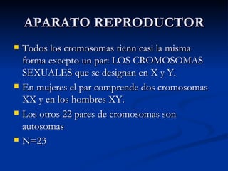 APARATO REPRODUCTOR Todos los cromosomas tienn casi la misma forma excepto un par: LOS CROMOSOMAS SEXUALES que se designan en X y Y. En mujeres el par comprende dos cromosomas XX y en los hombres XY. Los otros 22 pares de cromosomas son autosomas N=23 