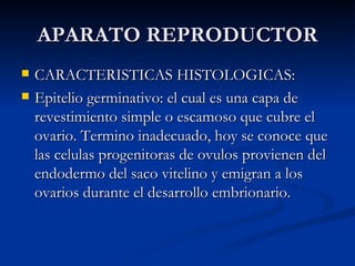 APARATO REPRODUCTOR CARACTERISTICAS HISTOLOGICAS: Epitelio germinativo: el cual es una capa de revestimiento simple o escamoso que cubre el ovario. Termino inadecuado, hoy se conoce que las celulas progenitoras de ovulos provienen del endodermo del saco vitelino y emigran a los ovarios durante el desarrollo embrionario. 