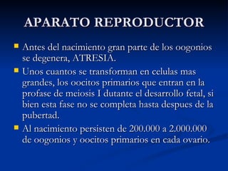APARATO REPRODUCTOR Antes del nacimiento gran parte de los oogonios se degenera, ATRESIA. Unos cuantos se transforman en celulas mas grandes, los oocitos primarios que entran en la profase de meiosis I dutante el desarrollo fetal, si bien esta fase no se completa hasta despues de la pubertad. Al nacimiento persisten de 200.000 a 2.000.000 de oogonios y oocitos primarios en cada ovario. 