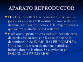 APARATO REPRODUCTOR De ellos unos 40.000 se conservan al llegar a la pubertad y apenas 400 madutan y son ovulados dutante la vida reproductiva de la mujer mientras que ocurre la atresia de los restantes. Cada oocito primario esta rodeado por una capa de celulas foliculares, con las cuales recibe la denominacion de FOLICULO PRIMORDIAL. Unos cuantos crecen de manera periódica, incluso durante la niñez. Se convierten en FOLICULOS PRIMARIOS 