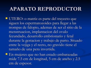 APARATO REPRODUCTOR UTERO: o matriz es parte del trayecto que siguen los espermatozoides para llegar a las trompas de falopio, ademas de ser el sitio de la menstruacion, implantacion del ovulo fecundado, desarrollo embrionario y fetal durante la gestacion y trabajo de parto. Situado entre la vejiga y el recto, no gravido tiene el tamaño de una pera invertida. En mujeres que no han estado embarazadas mide 7.5 cm de longitud, 5 cm de ancho y 2.5 cm de espesor. 
