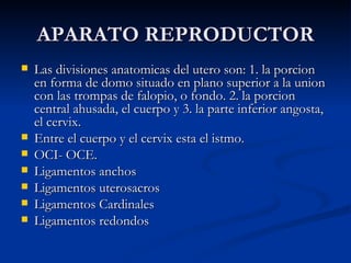 APARATO REPRODUCTOR Las divisiones anatomicas del utero son: 1. la porcion en forma de domo situado en plano superior a la union con las trompas de falopio, o fondo. 2. la porcion central ahusada, el cuerpo y 3. la parte inferior angosta, el cervix. Entre el cuerpo y el cervix esta el istmo.  OCI- OCE. Ligamentos anchos Ligamentos uterosacros Ligamentos Cardinales Ligamentos redondos 