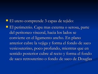 El utero comprende 3 capas de tejido: El perimetrio. Capa mas externa o serosa, parte del peritoneo visceral, hacia los lados se convierte en el ligamento ancho. En plano anterior cubre la vejiga y forma el fondo de saco vesicouterino, poco profundo, mientras que en sentido posterior cubre al recto y forma el fondo de saco retrouterino o fondo de saco de Douglas  