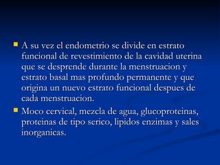 A su vez el endometrio se divide en estrato funcional de revestimiento de la cavidad uterina que se desprende durante la menstruacion y estrato basal mas profundo permanente y que origina un nuevo estrato funcional despues de cada menstruacion. Moco cervical, mezcla de agua, glucoproteinas, proteinas de tipo serico, lipidos enzimas y sales inorganicas. 