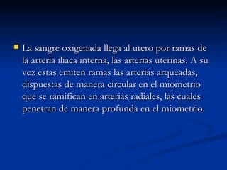 La sangre oxigenada llega al utero por ramas de la arteria iliaca interna, las arterias uterinas. A su vez estas emiten ramas las arterias arqueadas, dispuestas de manera circular en el miometrio que se ramifican en arterias radiales, las cuales penetran de manera profunda en el miometrio. 