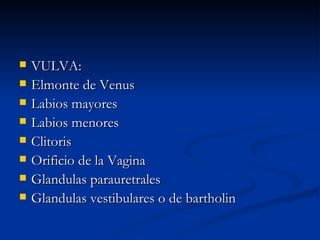 VULVA: Elmonte de Venus Labios mayores Labios menores Clitoris Orificio de la Vagina Glandulas parauretrales Glandulas vestibulares o de bartholin 