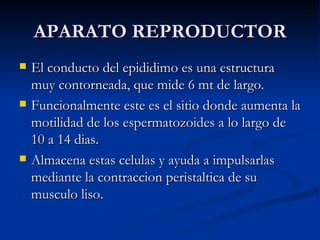 APARATO REPRODUCTOR ,[object Object],[object Object],[object Object]