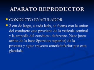 APARATO REPRODUCTOR ,[object Object],[object Object]