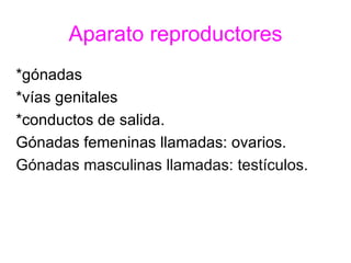 Aparato reproductores ,[object Object],[object Object],[object Object],[object Object],[object Object]