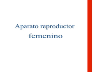 Aparato reproductor  femenino 