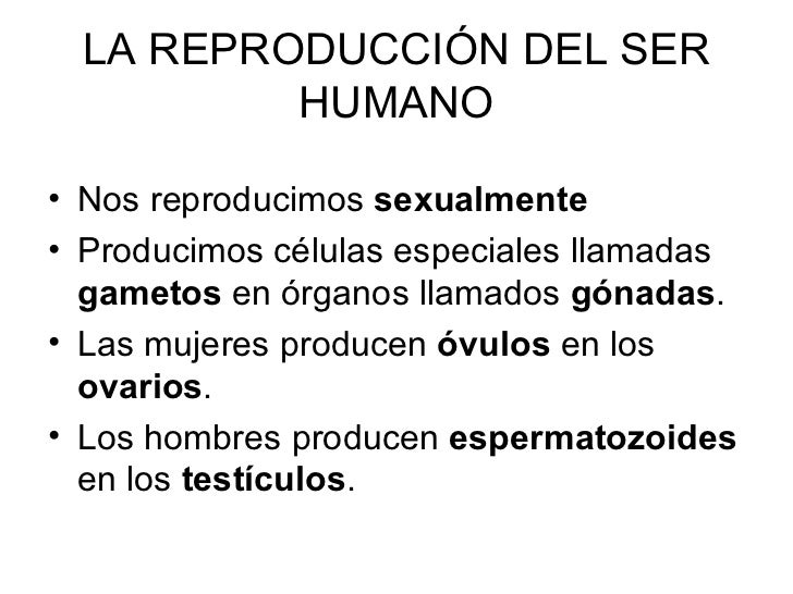 6 La ReproducciÓn Humana