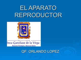 EL APARATO
REPRODUCTOR




 QF: ORLANDO LOPEZ
 