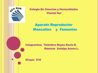 Colegio De Ciencias y Humanidades
               Plantel Sur



      Aparato Reproductor
     Masculino y Femenino



Integrantes: Telésforo Reyes Karla D.
             Ramírez Xolalpa Aurea L.



Grupo: 510
 