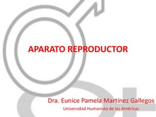 APARATO REPRODUCTOR

Dra. Eunice Pamela Martínez Gallegos
Universidad Humanista de las Américas

 