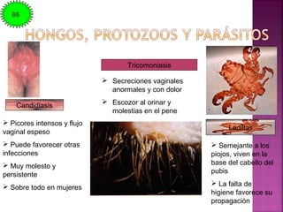 Candidiasis
 Picores intensos y flujo
vaginal espeso
 Puede favorecer otras
infecciones
 Muy molesto y
persistente
 Sobre todo en mujeres
 Secreciones vaginales
anormales y con dolor
 Escozor al orinar y
molestias en el pene
 Semejante a los
piojos, viven en la
base del cabello del
pubis
 La falta de
higiene favorece su
propagación
Ladillas
Tricomoniasis
86
 