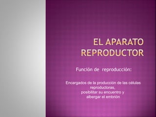 Función de reproducción:
Encargados de la producción de las células
reproductoras,
posibilitar su encuentro y
albergar el embrión
 