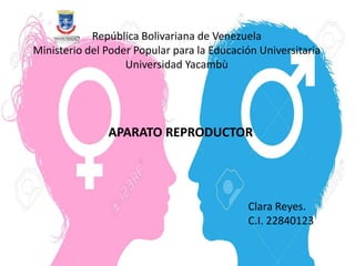 República Bolivariana de Venezuela
Ministerio del Poder Popular para la Educación Universitaria
Universidad Yacambù
APARATO REPRODUCTOR
Clara Reyes.
C.I. 22840123
 