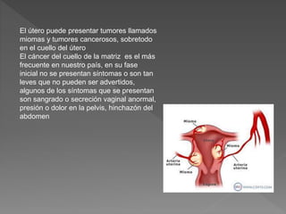 El útero puede presentar tumores llamados
miomas y tumores cancerosos, sobretodo
en el cuello del útero
El cáncer del cuello de la matriz es el más
frecuente en nuestro país, en su fase
inicial no se presentan síntomas o son tan
leves que no pueden ser advertidos,
algunos de los síntomas que se presentan
son sangrado o secreción vaginal anormal,
presión o dolor en la pelvis, hinchazón del
abdomen
 