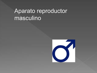 Aparato reproductor
masculino
 
