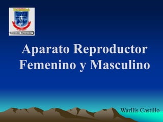 Aparato Reproductor
Femenino y Masculino
Warllís Castillo
 