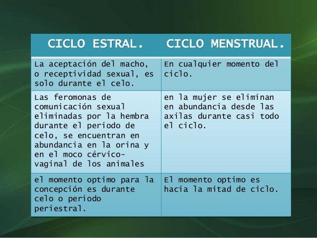 Diferencia Entre Ciclo Menstrual Y Ciclo Estral Actua - vrogue.co