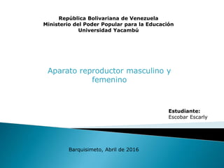 República Bolivariana de Venezuela
Ministerio del Poder Popular para la Educación
Universidad Yacambú
Estudiante:
Escobar Escarly
Barquisimeto, Abril de 2016
Aparato reproductor masculino y
femenino
 
