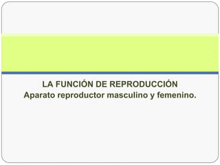 LA FUNCIÓN DE REPRODUCCIÓN
Aparato reproductor masculino y femenino.
 