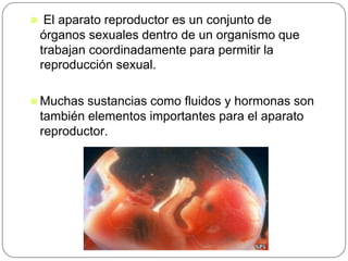 ⚫ El aparato reproductor es un conjunto de
órganos sexuales dentro de un organismo que
trabajan coordinadamente para permitir la
reproducción sexual.
⚫Muchas sustancias como fluidos y hormonas son
también elementos importantes para el aparato
reproductor.
 