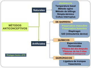 MÉTODOS
ANTICONCEPTIVOS
Naturales
Artificiales
Abstinencia
Temperatura basal
Método ogino
Método de billings
Simpto-térmico
Coitus interruptus
Preservativo masculino
Preservativo femenino
Diaphragm
IUD (intreuterine device)
Espermicidas
Hormonales
*Píldora del día después
*Píldores de los 5 días
(*Métodos de emergencia)
Ligadura de trompas
Vasectomía
DE BARRERA
QUÍMICOS
QUIRÚRGICOS
*Protegen frente a ETS
 