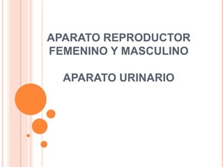 APARATO REPRODUCTOR
FEMENINO Y MASCULINO
APARATO URINARIO
 