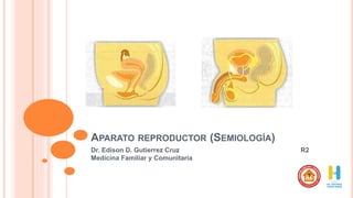 APARATO REPRODUCTOR (SEMIOLOGÍA)
Dr. Edison D. Gutierrez Cruz R2
Medicina Familiar y Comunitaria
 
