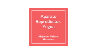 Aparato
Reproductor:
Yegua
Alejandra Salazar
Gonzalez
 