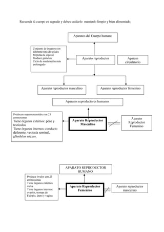 Recuerda tú cuerpo es sagrado y debes cuidarlo mantenlo limpio y bien alimentado.
Aparatos del Cuerpo humano
Aparato reproductor
Aparato reproductor masculino Aparato reproductor femenino
Conjunto de órganos con
diferente tipo de tejidos
Perpetúa la especie
Produce gametos
Ciclo de maduración más
prolongado
Aparato
circulatorio
Aparato reproductor
masculino
Produce óvulos con 23
cromosomas
Tiene órganos externos
vulva
Tiene órganos internos:
ovarios, trompa de
Falopio, útero y vagina
Aparato Reproductor
Femenino
APARATO REPRODUCTOR
HUMANO
Aparato Reproductor
Masculino
Aparato
Reproductor
Femenino
Producen espermatozoides con 23
cromosomas
Tiene órganos externos: pene y
testículos
Tiene órganos internos: conducto
deferente, vesícula seminal,
glándulas anexas.
Aparatos reproductores humanos
 