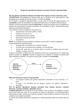 • El aparato reproductor humano se encarga de formar espermatozoides
P6.2 El aparato reproductor humano masculino tiene órganos externos: testículos y pene
TESTÍCULOS: Son glándulas de forma ovoide que se localizan en la región pélvica, están
protegidas por un pliegue de piel que recibe el nombre de escroto.
En su interior se producen espermatozoides, los que salen al exterior del aparato gracias a la
eyaculación a partir de la pubertad. Los espermatozoides salen en el líquido seminal (semen)
Además secretan una hormona llamada testosterona, la misma que permite que en la pubertad se
expresen las características sexuales secundarias de los hombres, es decir características físicas
típicas que presentan los hombres.
Los caracteres sexuales secundarios masculinos son:
• Aparición del vello axilar, púbico y facial.
• Cambio en el tono de voz
• Ensanchamiento de la espalda
• Desarrollo muscular masculino
• Eyaculación
PENE: Es un órgano de forma cilíndrica mediante el cual se lleva a cabo la copulación.
El pene presenta las siguientes partes:
• El glande que se encuentra en el extremo del pene.
• El cuello que se encuentra entre el glande y el resto del pene
• Cuerpo del pene que en su interior aloja a la uretra un conducto que sirve para
eliminar el semen y la orina.
El pene se encuentra recubierto por una membrana de piel con la capacidad de ser retráctil que
recibe el nombre de prepucio. Cuando el prepucio no es retráctil es necesario recortarlo para
dejar descubierto al glande en un proceso que recibe el nombre de circuncisión.
Tener
Diferentes formas de expresar la proposición:
• Los órganos externos del aparato reproductor masculino son los testículos y el
pene
• El pene y los testículos son los órganos externos del aparato reproductor
masculino.
P6.3 El aparato reproductor humano masculino tiene órganos internos: conducto
deferente, vesículas seminales y glándulas anexas.
Conducto deferente: Es un tubo de 45 cm de longitud. Tiene su inicio en el epidídimo testicular
(una red de tubos que salen de los testículos en donde se almacenan los espermatozoides),
continúa hacia arriba, penetra en el abdomen, bordea la vejiga urinaria y termina a la altura de la
próstata en un conducto eyaculador.
La misión del conducto deferente es transportar los espermatozoides desde los testículos hacia la
uretra.
Aparato
Reproductor
Humano
Masculino
Órganos
externos:
testículos y pene
 