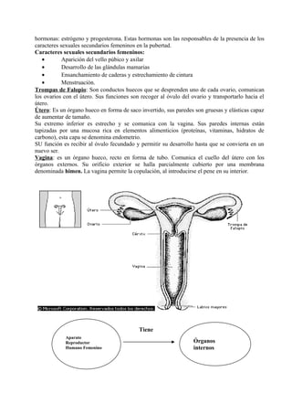 hormonas: estrógeno y progesterona. Estas hormonas son las responsables de la presencia de los
caracteres sexuales secundarios femeninos en la pubertad.
Caracteres sexuales secundarios femeninos:
• Aparición del vello púbico y axilar
• Desarrollo de las glándulas mamarias
• Ensanchamiento de caderas y estrechamiento de cintura
• Menstruación.
Trompas de Falopio: Son conductos huecos que se desprenden uno de cada ovario, comunican
los ovarios con el útero. Sus funciones son recoger al óvulo del ovario y transportarlo hacia el
útero.
Útero: Es un órgano hueco en forma de saco invertido, sus paredes son gruesas y elásticas capaz
de aumentar de tamaño.
Su extremo inferior es estrecho y se comunica con la vagina. Sus paredes internas están
tapizadas por una mucosa rica en elementos alimenticios (proteínas, vitaminas, hidratos de
carbono), esta capa se denomina endometrio.
SU función es recibir al óvulo fecundado y permitir su desarrollo hasta que se convierta en un
nuevo ser.
Vagina: es un órgano hueco, recto en forma de tubo. Comunica el cuello del útero con los
órganos externos. Su orificio exterior se halla parcialmente cubierto por una membrana
denominada himen. La vagina permite la copulación, al introducirse el pene en su interior.
Tiene
Aparato
Reproductor
Humano Femenino
Órganos
internos
 