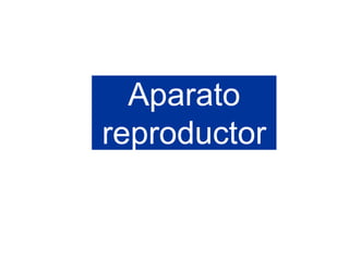 Aparato
reproductor
 
