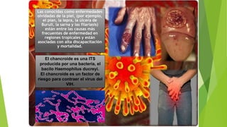Las conocidas como enfermedades
olvidadas de la piel, (por ejemplo,
el pian, la lepra, la úlcera de
Buruli, la sarna y las filariasis)
están entre las causas más
frecuentes de enfermedad en
regiones tropicales y están
asociadas con alta discapacitación
y mortalidad.
El chancroide es una ITS
producida por una bacteria, el
bacilo Haemophilus ducreyi.
El chancroide es un factor de
riesgo para contraer el virus del
VIH.
 