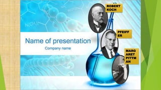 HISTORIA HISTORIA
Haemophilus influenzae (Hi) fue identificado como
patógeno por
Koch en 1883, en un exudado directo coloreado con Gram
de un exudado conjuntival.
Pfeiffer en 1892, este investigador lo aisló por primera
vez a partir del esputo de los pulmones de pacientes que
habían muertos en una pandemia de influenza, los cual
los llamo bacilos de Pfeiffer
Para 1930 Margaret Pittman identificó seis serotipos de
la a hasta la f, basados en lacomposición de la cápsula
polisacárida lo cual los clasificó en capsulados y no
capsulados, Wilson y Miles en 1917 establecieron el
género Haemophulis.
En 1976, Kilian realizó la diferenciación de las especies
de
Haemophilus particularmente de H. influenzae.Esta
última quedó
inicialmente clasificada en 6 biotipos con base en tres
reacciones bioquímicas: producción de Indo, actividad de
la ureasa y
catalasa. Dentrode su taxonomía se encuentra que es de,
Reino Procarionte, Orden Eubacteriales, Familia
Pasteurellaceae, Genero Haemophilus y
EspecieInfluenzae.
ROBERT
KOCH
PFEIFF
ER
MARG
ARET
PITTM
AN
 