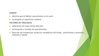 HABITAT
 Mientras que el hábitat naturalmente en el suelo
 localizadas en superficies cutáneas
FACTORES DE VIRULENCIA
 Adherencia ala capa cornea dela piel
 Germinación e invasión de queratinocitos
 Reacción del huésped por productos metabólicos del hongo ; queratinasas o proteasas ,
elastasas y lipasas
 