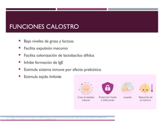 aparato reproductor fem.pptx............ | PPTX
