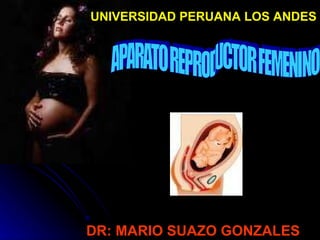 UNIVERSIDAD PERUANA LOS ANDES   DR: MARIO SUAZO GONZALES APARATO REPRODUCTOR FEMENINO 