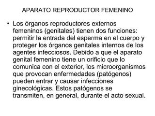 APARATO REPRODUCTOR FEMENINO ,[object Object]