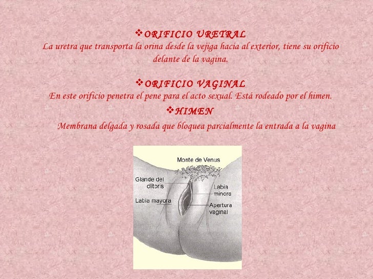 Blindfold multiple facial Bridjet the midget
